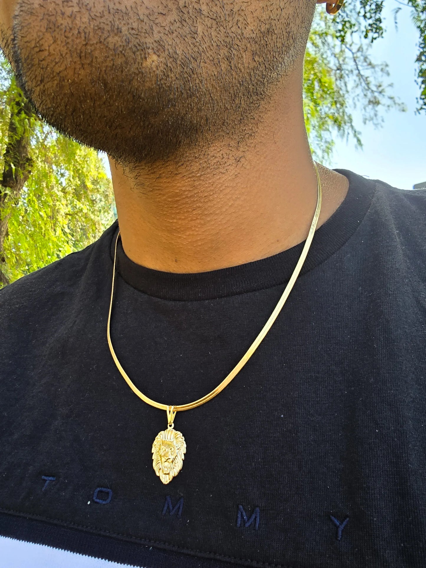 Dije Silueta León Oro Laminado 18k