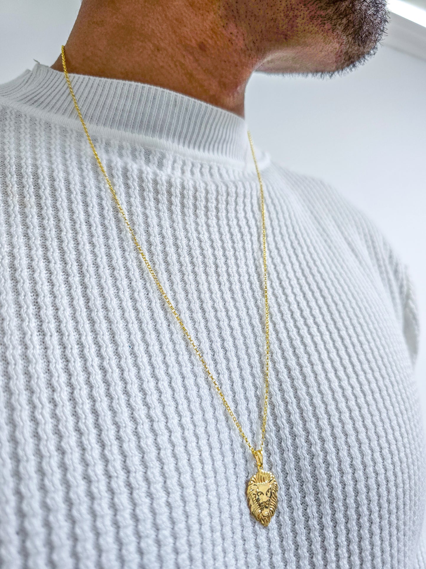 Cadena Tejido Rolo Delgado Y Dije Silueta León Oro Laminado 18k