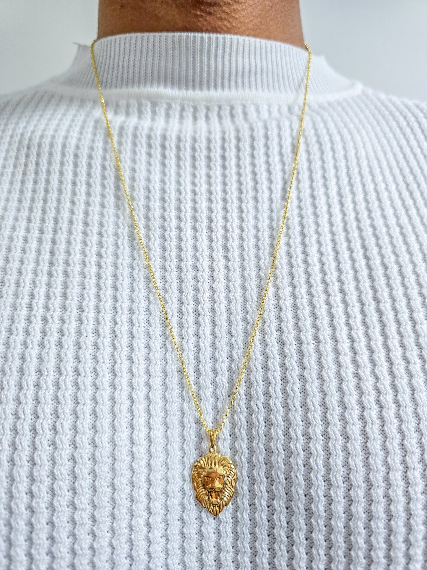 Cadena Tejido Rolo Delgado Y Dije Silueta León Oro Laminado 18k